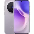 Vivo X300